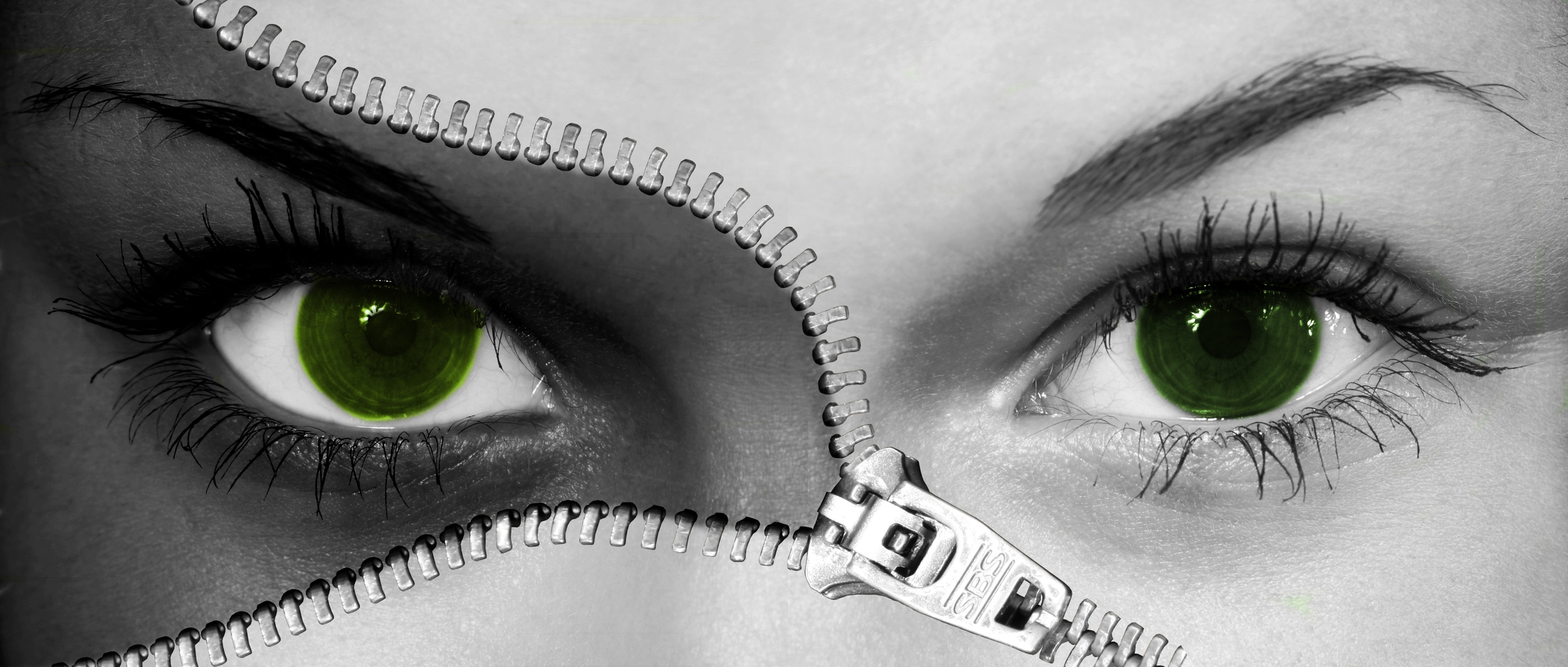 Composition Of Green Human Eyes With Zip